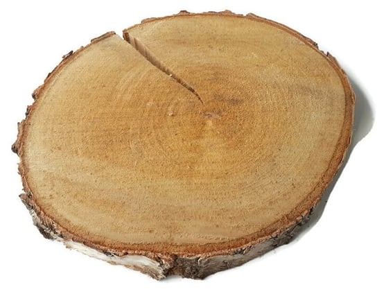 Plaster drewna Brzoza nieszlifowana 28-33 cm / 2,5 cm  z pęknięciem AkademiaDrewna