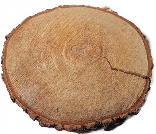 Plaster drewna Brzoza nieszlifowana 35-40 cm /3 cm - z pęknięciem AkademiaDrewna