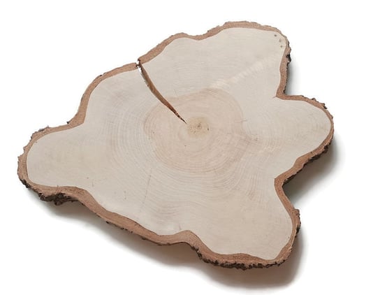 Plaster drewna Brzoza nieszlifowana 35-48cm / 2,8 cm Nieregularne kształty AkademiaDrewna