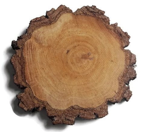 Plaster drewna Brzoza nieszlifowana gruba kora 10-12 cm / 1 cm AkademiaDrewna