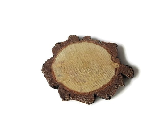 Plaster drewna Brzoza nieszlifowana gruba kora 6-8 cm / 1 cm AkademiaDrewna