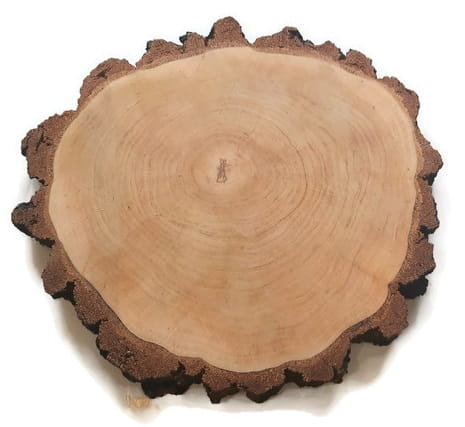Plaster drewna Brzoza OLEJOWANA szlifowana 46-50 cm / 4,5 cm AkademiaDrewna