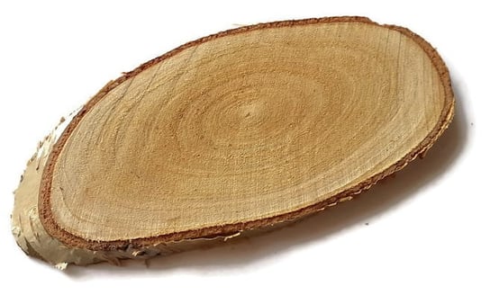 Plaster drewna Brzoza podłużny skośny 15-20 cm nieszlifowany AkademiaDrewna