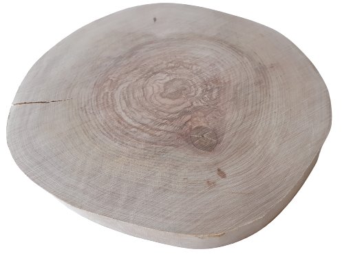 Plaster drewna Brzoza szlifowana 20-23 cm / 2 cm -  bez kory, z pęknięciem AkademiaDrewna