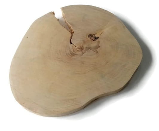Plaster drewna Brzoza szlifowana 28-32 cm / 4 cm - z pęknięciem, bez kory AkademiaDrewna
