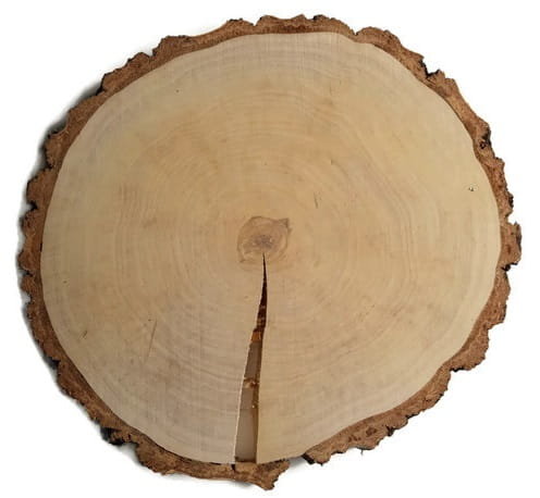 Plaster drewna Brzoza szlifowana 40-45 cm / 3,8 cm - z pęknięciem AkademiaDrewna