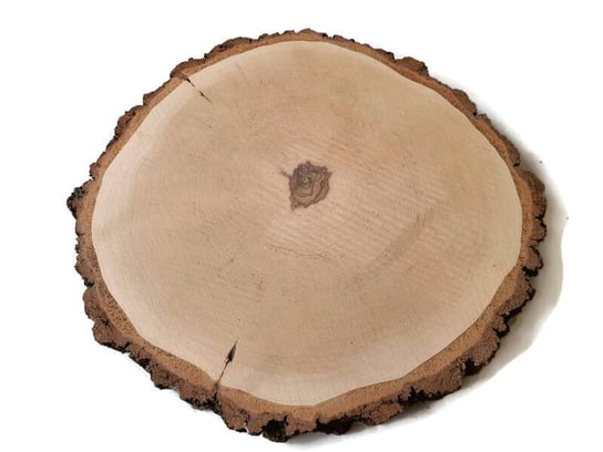 Plaster drewna Brzoza szlifowana 47-50 cm / 4,5 cm AkademiaDrewna