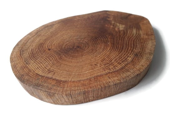 Plaster drewna Dąb bez kory OLEJOWANY szlifowany 14-20 cm / 2 cm AkademiaDrewna