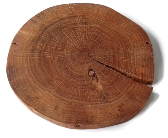 Plaster drewna Dąb bez kory OLEJOWANY szlifowany 14-20 cm / 2 cm z pęknięciem AkademiaDrewna