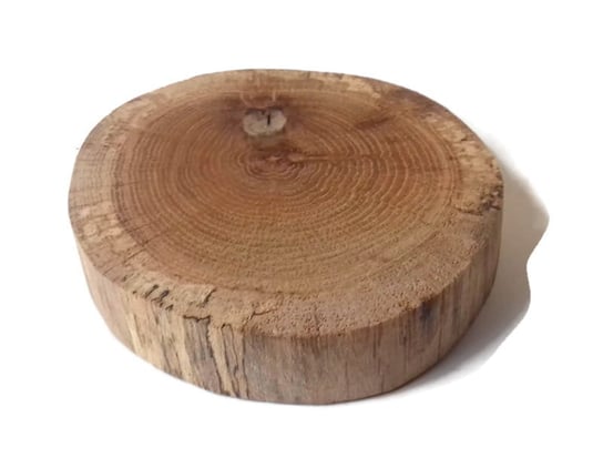 Plaster drewna Dąb bez kory OLEJOWANY szlifowany 8-10 cm / 2 cm AkademiaDrewna