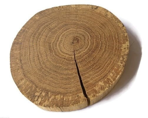 Plaster drewna Dąb bez kory OLEJOWANY szlifowany 9-12 cm / 2 cm z pęknięciem AkademiaDrewna
