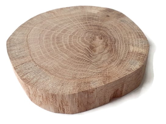 Plaster drewna Dąb BEZ KORY szlifowany 10-12 cm / 2 cm AkademiaDrewna