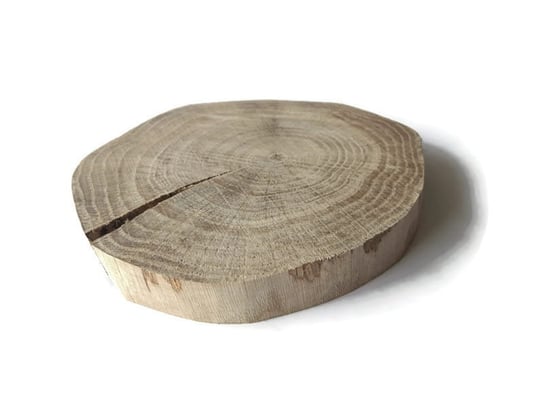 Plaster drewna Dąb BEZ KORY szlifowany 14-20 cm / 2 cm z pęknięciem AkademiaDrewna