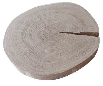 Plaster drewna Dąb BEZ KORY szlifowany 25-30 cm / 3 cm z pęknięciem AkademiaDrewna