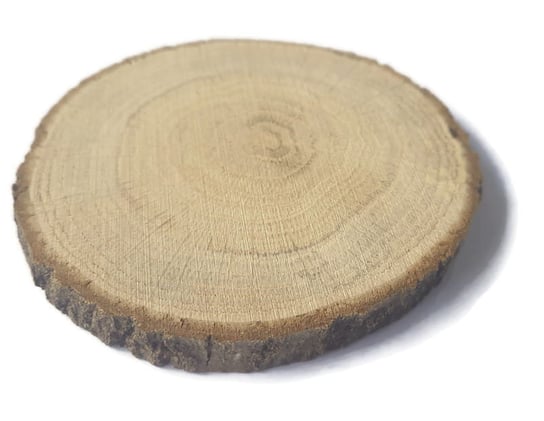 Plaster drewna Dąb szlifowany 7-10 cm / 1 cm AkademiaDrewna