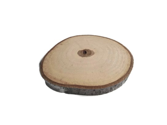 Plaster drewna Orzech włoski nieszlifowany 10-12 cm / 1 cm AkademiaDrewna