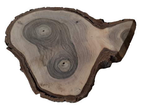 Plaster drewna Orzech włoski szlifowany 14-20 cm / 2 cm  z ubytkami AkademiaDrewna