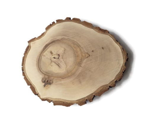 Plaster drewna Orzech włoski szlifowany 17-20 cm / 2 cm AkademiaDrewna