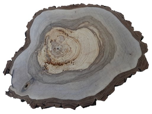 Plaster drewna Orzech włoski szlifowany 28-40 cm / 1 cm AkademiaDrewna