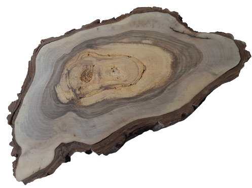 Plaster drewna Orzech włoski szlifowany 28-48 cm / 1 cm AkademiaDrewna