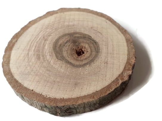 Plaster drewna Orzech włoski szlifowany 6-8 cm / 1 cm AkademiaDrewna