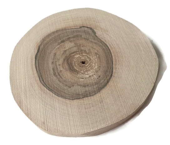 Plaster drewna Orzech włoski szlifowany 8-10 cm / 1 cm BEZ KORY AkademiaDrewna