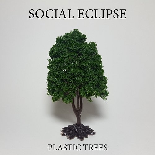Plastic Trees Social Eclipse