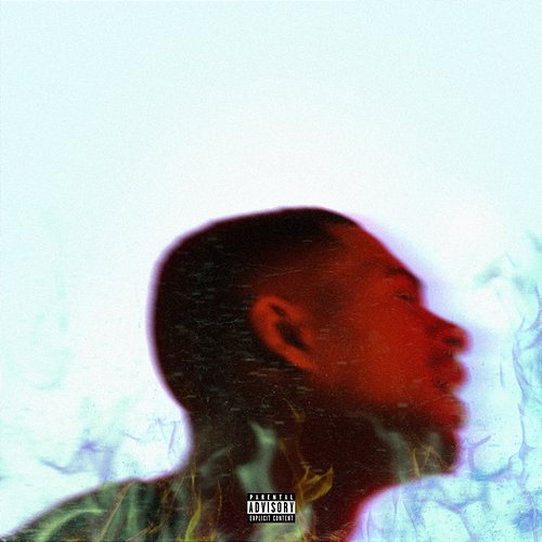 Platinum Fire Arin Ray