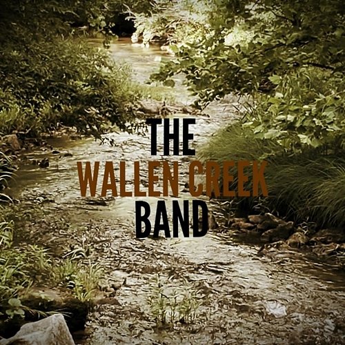 Play Me a Song The Wallen Creek Band feat. Brendon Usher, Ian Nettles