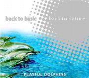Playful Dolphins Various Artists