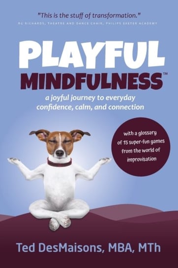Playful Mindfulness: a joyful journey to everyday confidence, calm, and connection Ted Desmaisons