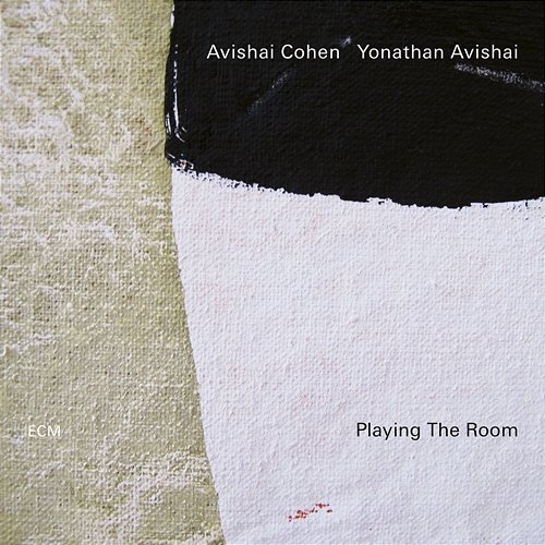 Playing The Room Avishai Cohen, Yonathan Avishai