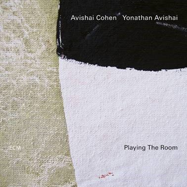 Playing The Room, płyta winylowa Cohen Avishai