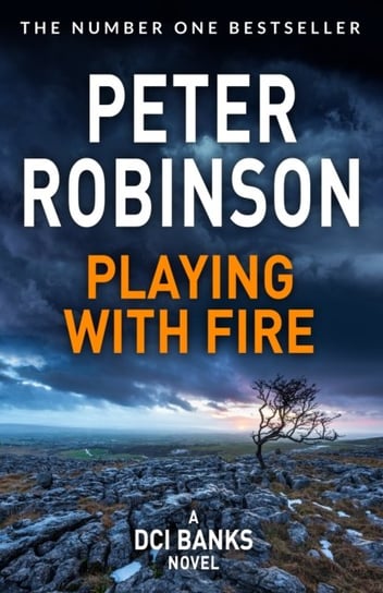 Playing With Fire Robinson Peter