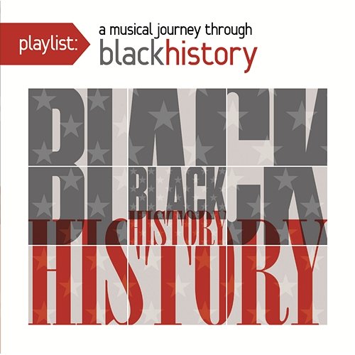 Playlist: A Musical Journey Through Black Music Various Artists