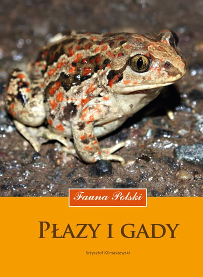 Płazy i gady. Fauna Polski Klimaszewski Krzysztof