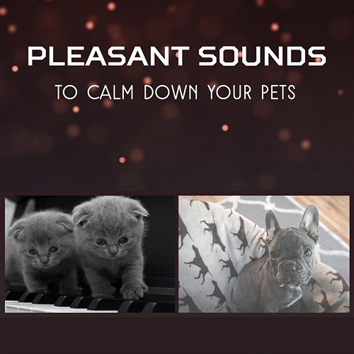 Pleasant Sounds to Calm Down Your Pets – Deep Sleep for Dogs and Cats, Complete Serenity, Pet Relaxation, Take Care for Your Animal Companion Cats Music Zone