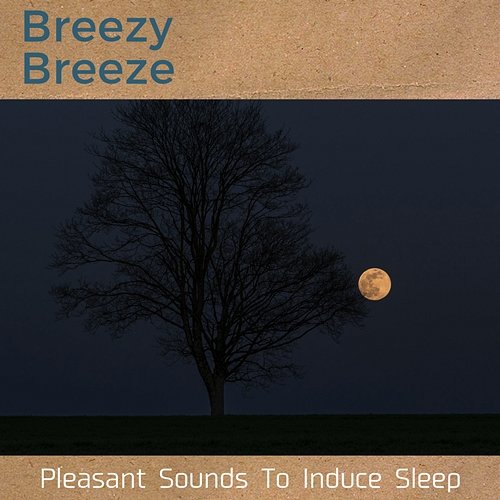 Pleasant Sounds to Induce Sleep Breezy Breeze