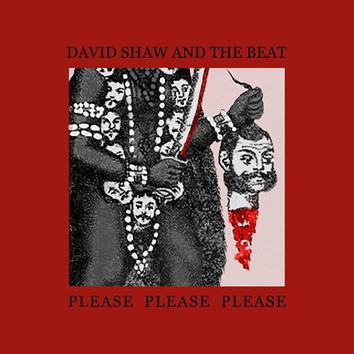 Please Please Please The Beat, David Shaw