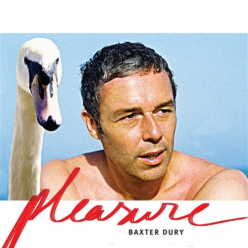 Pleasure Baxter Dury