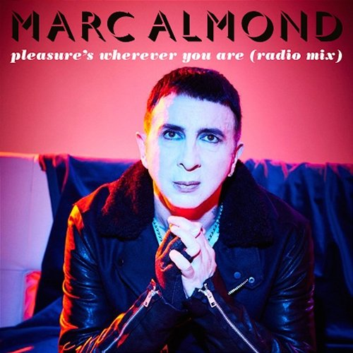 Pleasure's Wherever You Are Marc Almond