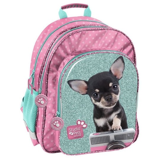 Plecak szkolny dla chłopca i dziewczynki  Paso Studio Pets dwukomorowy Paso