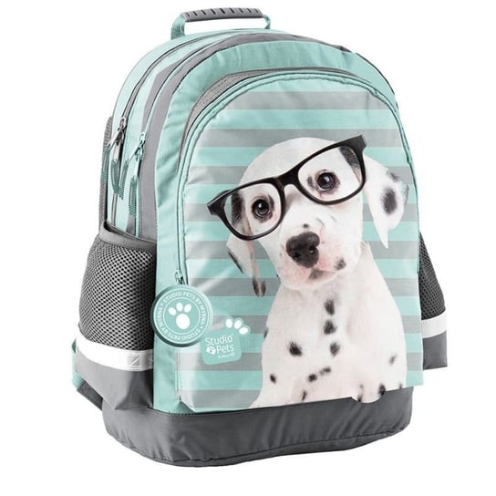 Plecak szkolny dla chłopca i dziewczynki Paso Studio Pets dwukomorowy Paso