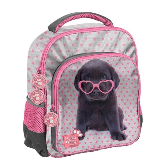 Plecak szkolny dla chłopca i dziewczynki Paso Studio Pets jednokomorowy Paso