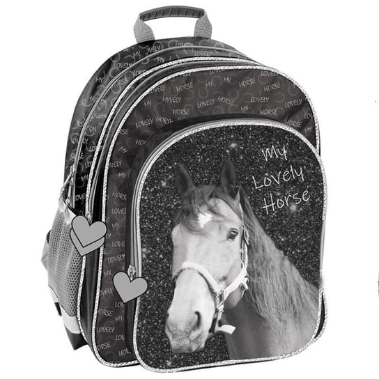 Plecak szkolny dla chłopca i dziewczynki szary Paso dwukomorowy Paso