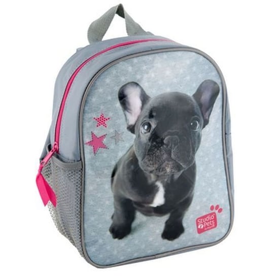 Plecak szkolny dla chłopca i dziewczynki szary Paso Studio Pets jednokomorowy Paso