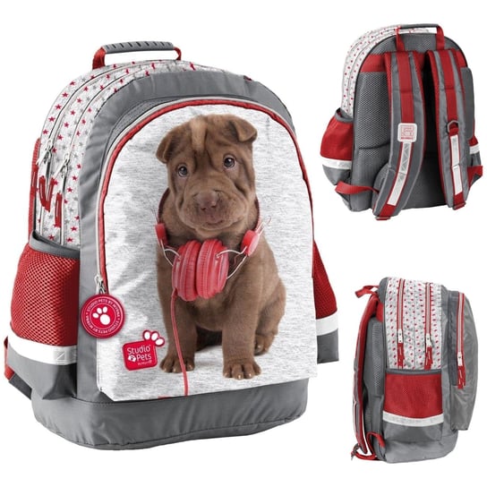 Plecak szkolny dla chłopca i dziewczynki szary Paso Studio Pets pies dwukomorowy Paso