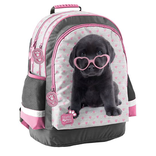 Plecak szkolny dla dziewczynki szary Paso Studio Pets wielokomorowy Paso