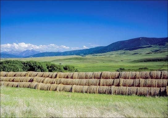 Plenty of hay for the winter at this farm in eastern Montana, Carol Highsmith - plakat 84,1x59,4 cm Galeria Plakatu