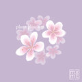 plum blossom mxmtoon